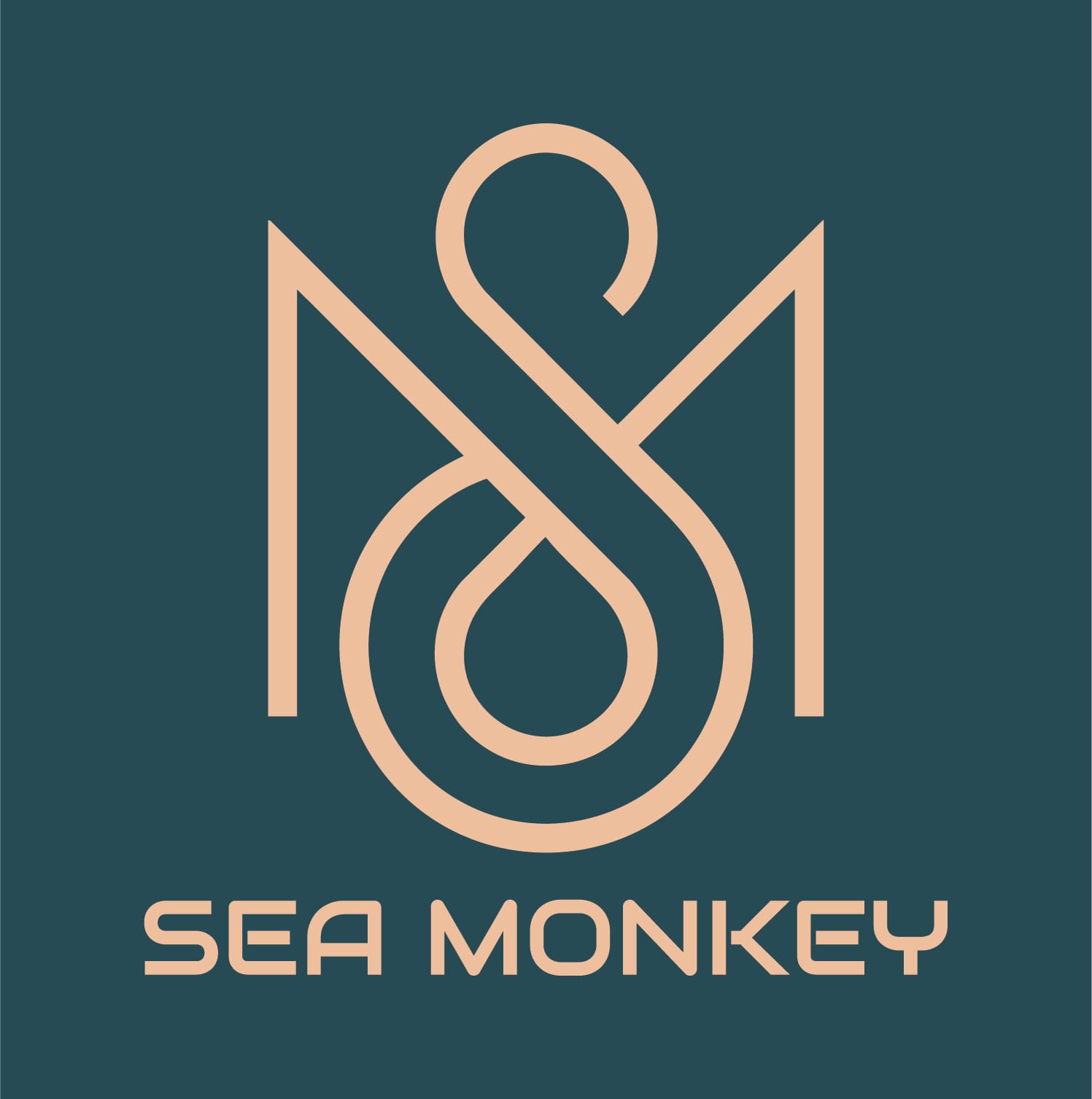 Sea Monkey Nightlife Pittsburgh