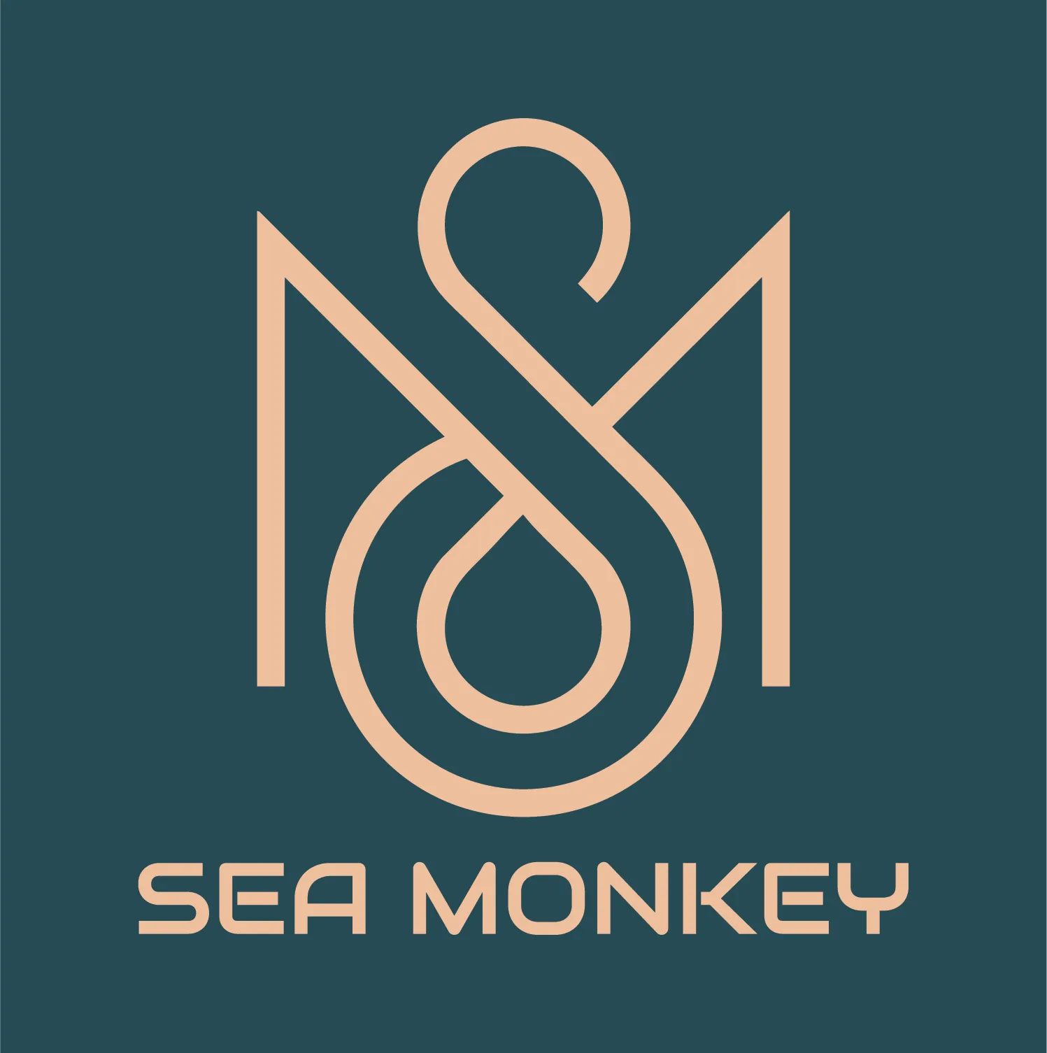 Sea Monkey Nightlife Pittsburgh